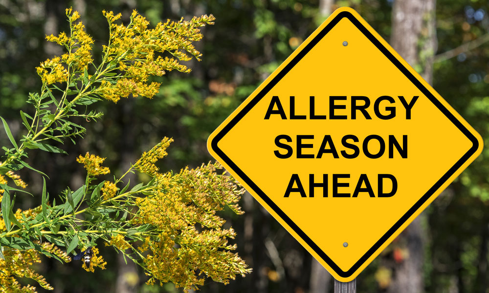 Allergy Season