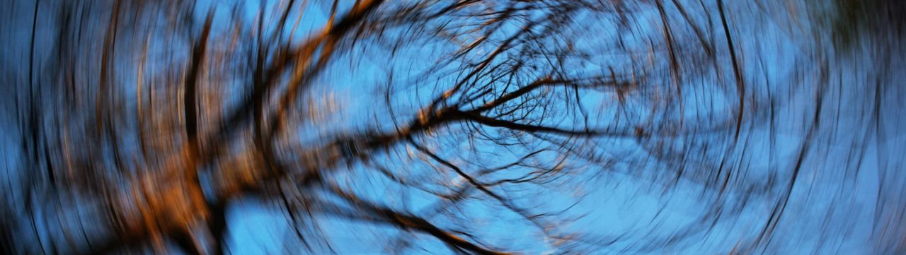 blurred tree