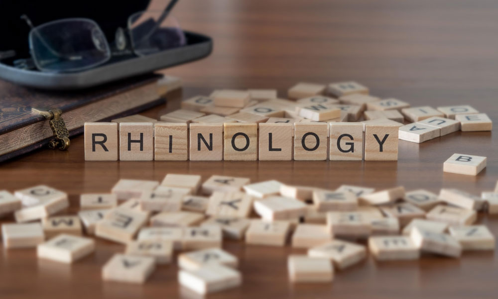 Rhinology
